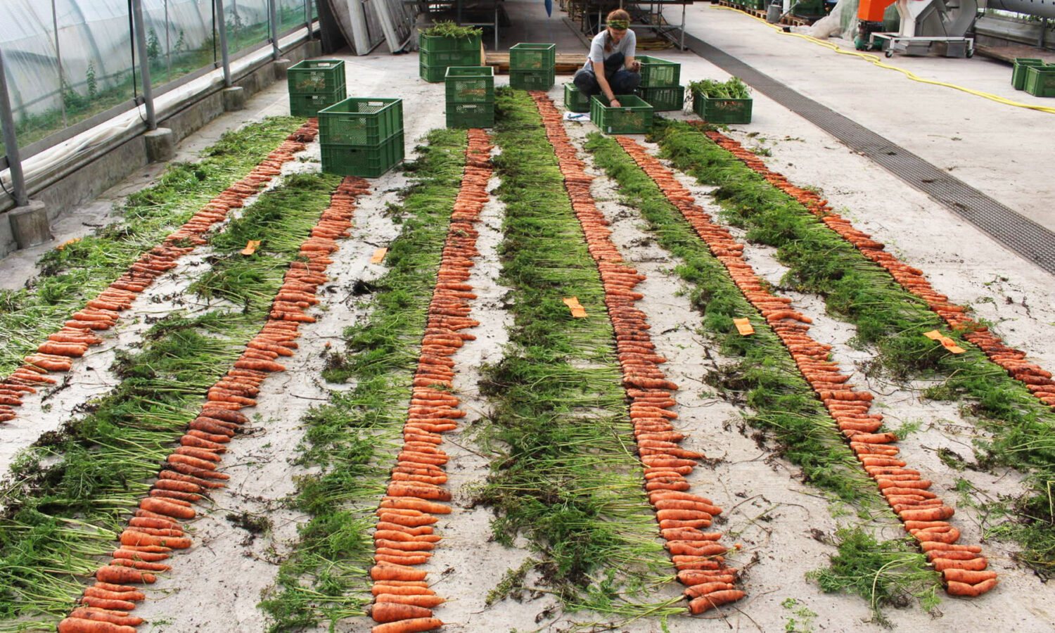 Fuffi Fylms Produktion